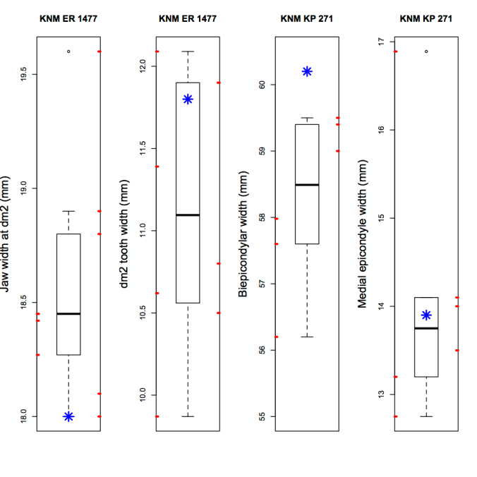 Boxplots showing participants' data, for two measurements on each of the fossils. The blue stars mark the published values. The red rugs on either side indicate measurements taken on the scans (left side) or printed casts (right).