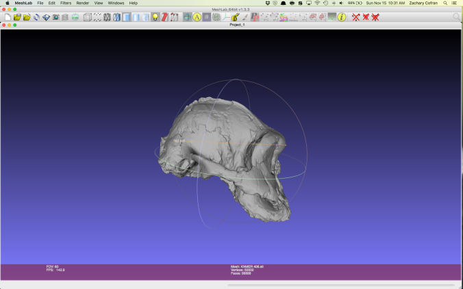 Maximum cranial length in Australopithecus boisei specimen KNM-ER 406.