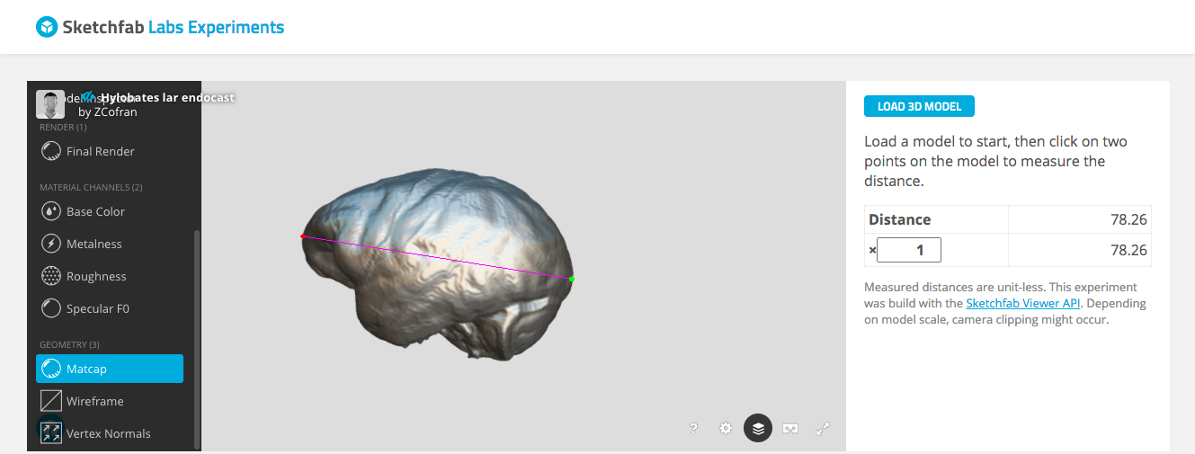 Brain size & scaling – virtual lab activity